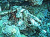IMG_9749.JPG