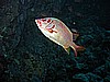 IMG_9754.JPG