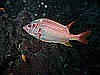 IMG_9755.JPG