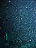 IMG_9756.JPG
