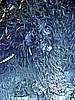 IMG_9758.JPG