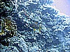 IMG_9759.JPG