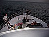 IMG_9766.JPG