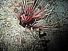 IMG_9771.JPG