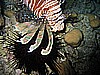 IMG_9775.JPG