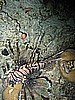 IMG_9776.JPG