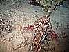 IMG_9786.JPG