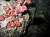 IMG_9788.JPG