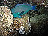 IMG_9789.JPG