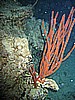 IMG_9790.JPG
