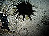 IMG_9792.JPG