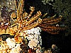 IMG_9809.JPG