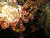 IMG_9810.JPG