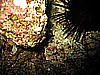 IMG_9812.JPG
