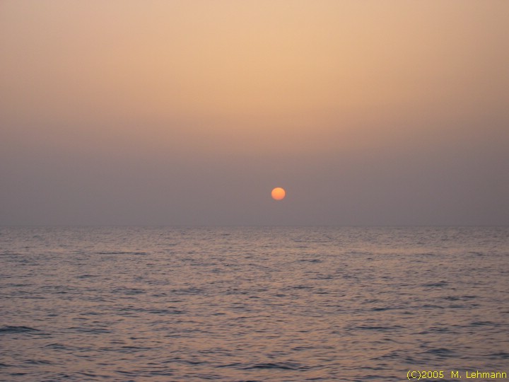IMG_9829.JPG