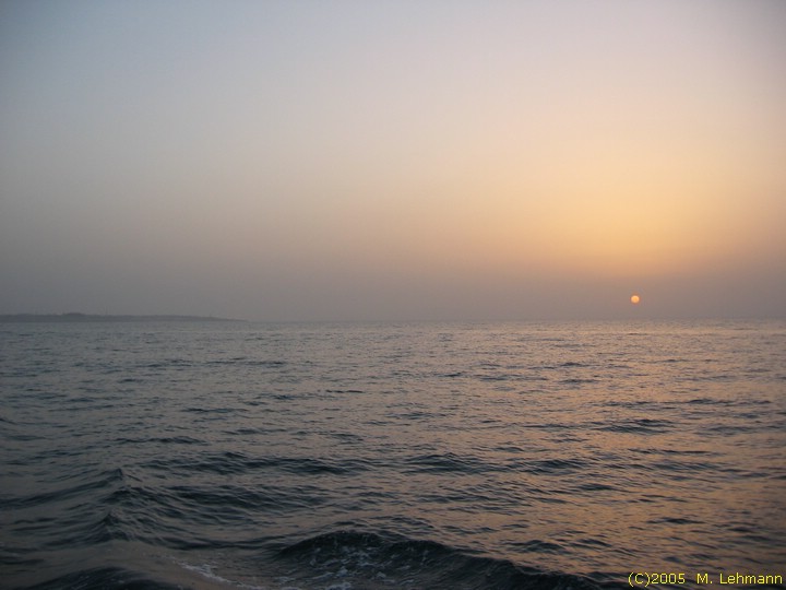 IMG_9830.JPG