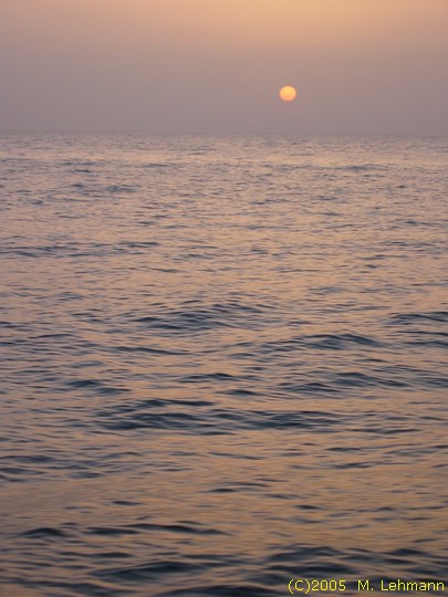 IMG_9831.JPG