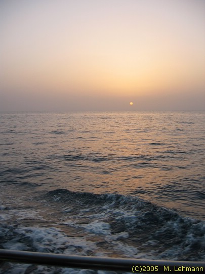 IMG_9832.JPG