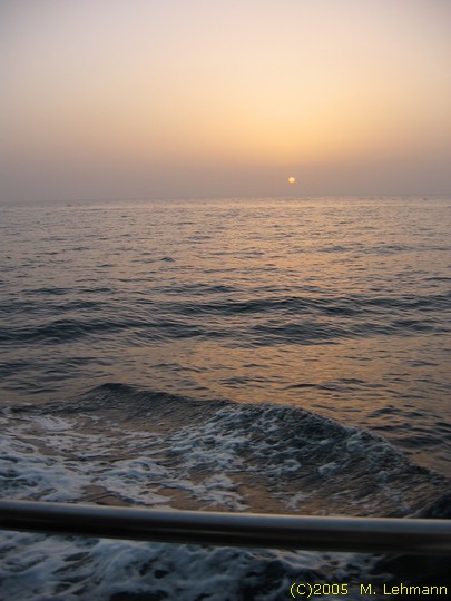 IMG_9833.JPG