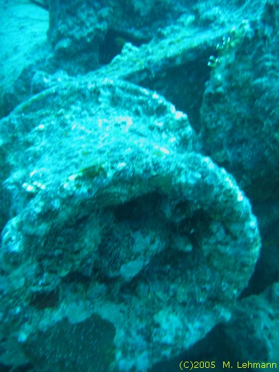 IMG_9860.JPG