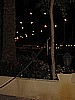 IMG_9827.JPG