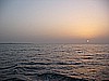 IMG_9830.JPG
