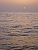 IMG_9831.JPG