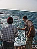 IMG_9837.JPG