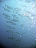 IMG_9841.JPG