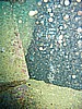 IMG_9844.JPG