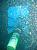 IMG_9845.JPG