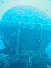 IMG_9852.JPG