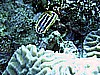IMG_9853.JPG