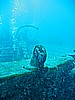 IMG_9855.JPG