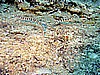 IMG_9859.JPG