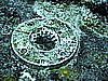 IMG_9861.JPG