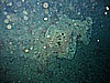 IMG_9862.JPG