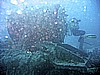 IMG_9864.JPG