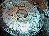 IMG_9867.JPG