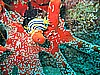 IMG_9869.JPG