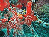 IMG_9871.JPG