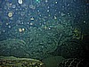 IMG_9873.JPG