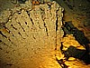 IMG_9876.JPG