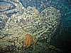 IMG_9881.JPG