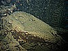 IMG_9882.JPG