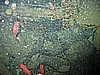 IMG_9883.JPG