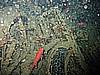 IMG_9884.JPG