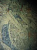 IMG_9885.JPG