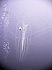 IMG_9894.JPG