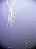 IMG_9895.JPG